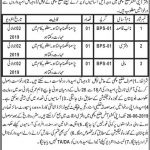 Office Of The Deputy Commissioner Jobs 30 May 2019