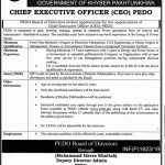 Pakhtunkhwa Energy Development Organization PEDO Jobs 03 May 2019