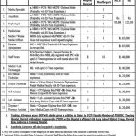 Punjab Social Security Health Management Company PSSHMC Jobs 03 May 2019