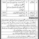 Salster Department Govt Of Sindh Jobs 30 May 2019