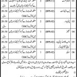 School Education And Literacy Department Govt Of Sindh Jobs 25 May 2019