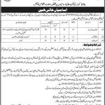 Sindh Teacher Education Development Authority Jobs 26 May 2019