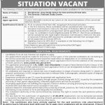 University Of Sindh Jamshoro Jobs 08 May 2019