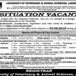 University Of Veterinary And Animal Sciences Jobs 19 May 2019