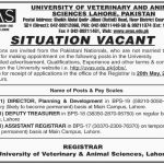 University Of Veterinary And Animal Sciences UVAS Jobs 01 May 2019
