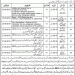 Wazirabad Institute Of Cardiology WIC Jobs 10 May 2019