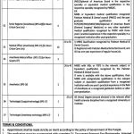 Allama Iqbal Medical College And Jinnah Hospital Lahore Jobs 22 Jun 2019