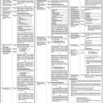 Bahauddin Zakariya University BZU Jobs 27 Jun 2019