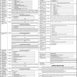 Bahauddin Zakariya University BZU Jobs 29 Jun 2019