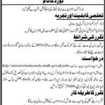 Board Of Intermediate And Secondary Education Benazirabad Jobs 03 Jun 2019