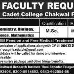 Cadet College Chakwal For Girls Jobs 09 Jun 2019
