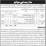 College Education Department Govt Of Sindh Jobs 02 Jun 2019