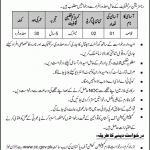 Competition Commission Of Pakistan CCP Jobs 19 Jun 2019