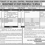 Directorate Of Malaria Control Program Sindh Hyderabad Jobs 24 Jun 2019