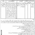 Education Department Govt Of Punjab Jobs 13 Jun 2019