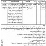Education Department Govt Of Punjab Jobs 14 Jun 2019