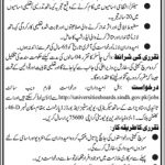 Education Department Govt Of Sindh Jobs 30 Jun 2019