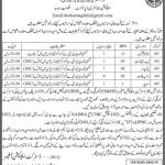 Education Department Govt Of Sindh Disable Quota Jobs 02 Jun 2019