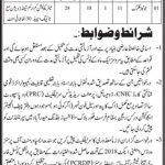 Education Department Govt Of Sindh Hyderabad Region Jobs 08 Jun 2019