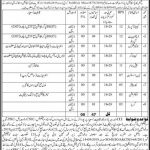 Education Department Govt Of Sindh Larkana Division Jobs 03 Jun 2019