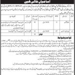 Education Department Govt Of Sindh Nawabshah Region Jobs 08 Jun 2019