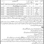 Elementary And Secondary Education Department Jobs 10 Jun 2019