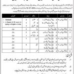 Govt Of Azad Jammu And Kashmir Jobs 28 Jun 20019