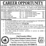 Gujranwala Waste Management Company GWMC Jobs 14 Jun 2019