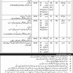 Health Department Govt Of Punjab Jobs 03 Jun 2019