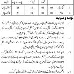 Irrigation Department Govt Of Sindh Jobs 16 Jun 2019
