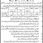 Irrigation Department Govt Of Sindh Jobs 25 Jun 2019