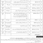 National Archives Of Pakistan Jobs 23 Jun 2019