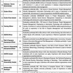 National Disaster Management Authority Jobs 23 Jun 2019