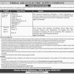 NTS Tribal Areas Electric Supply Company Jobs 21 Jun 2019
