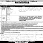 NTS Tribal Areas Electric Supply Company Jobs 23 Jun 2019