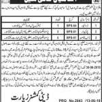 Office Of The Deputy Commissioner Jobs 15 Jun 2019