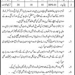 Office Of The Executive Engineer Nawabshah Jobs 16 Jun 2019