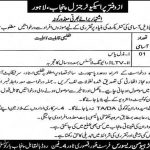 Office Of The Prosecutor General Govt Of Punjab Jobs 22 Jun 2019