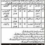 Population Welfare Department Jobs 10 Jun 2019