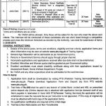 PTS Job In Punjab Revenue Authority Finance Department Jobs 15 Jun 2019