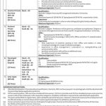 Public Sector Organization Islamabad Jobs 08 Jun 2019