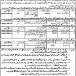 Punjab Employees Social Security Jobs 19 Jun 2019