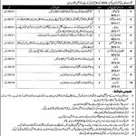 Punjab Institute Of Languages And Culture Jobs 15 Jun 2019