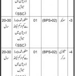 School Education And Literacy Department Jobs 16 Jun 2019