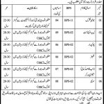 School Education And Literacy Department Jobs 20 Jun 2019