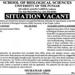 School Of Biological Science University Of The Punjab (PU) Jobs 18 Jun 2019