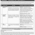 Transpeshawar The Urban Mobility Company Jobs 13 Jun 2019