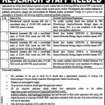 University Of The Punjab PU Jobs 14 Jun 2019