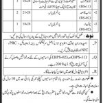 Wildlife Protection Department Sindh Jobs 30 Jun 2019