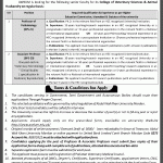 Abdul Wali Khan University Mardan Jobs 24 Jul 2019